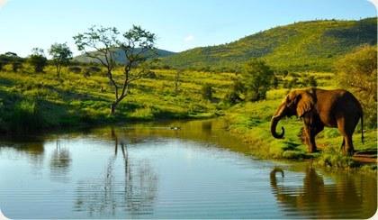 The History of Pilanesberg National Park Image