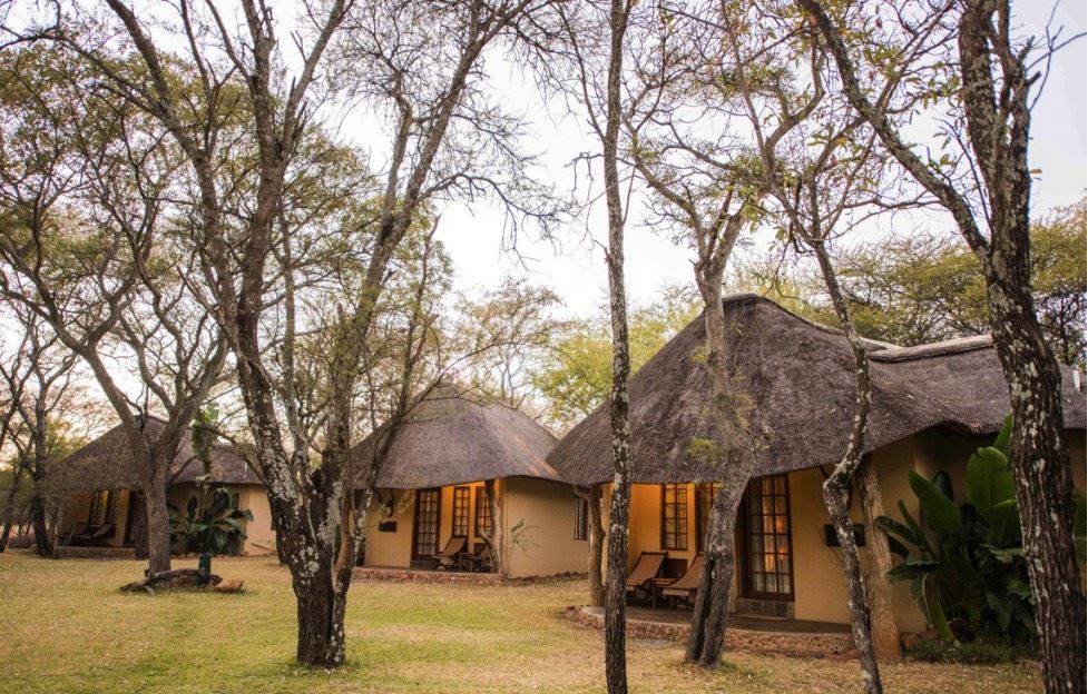 Mziki Safari Lodge Accommodation