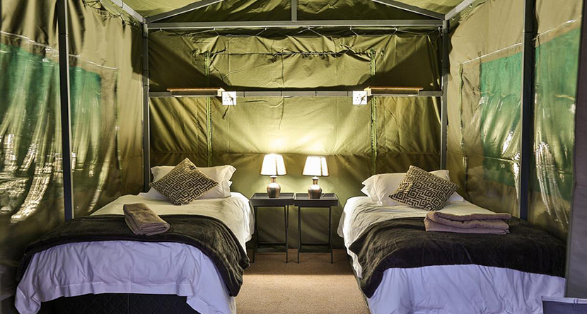 Tent_inside2.jpg